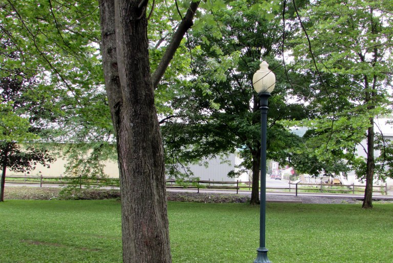 A lamppost in a local park.